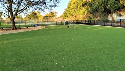 Brittingham Dog Park